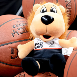 Peluche Dunky 20 cm mascotte avec maillot du CBC